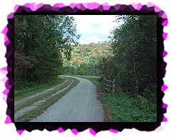 Riding the Yough Bike Trail.