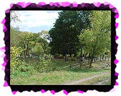 Dravo Cemetery from the Yough Bike Trail.