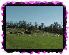 A view of the Elizabeth Cemetery