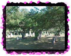 Looking down across Round Hill Cemetery from behind Round Hill Church.