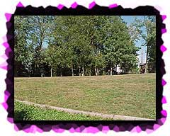 The Walker Family graves under the trees in the distance.