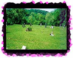 A view across St. Patrick's Cemetery